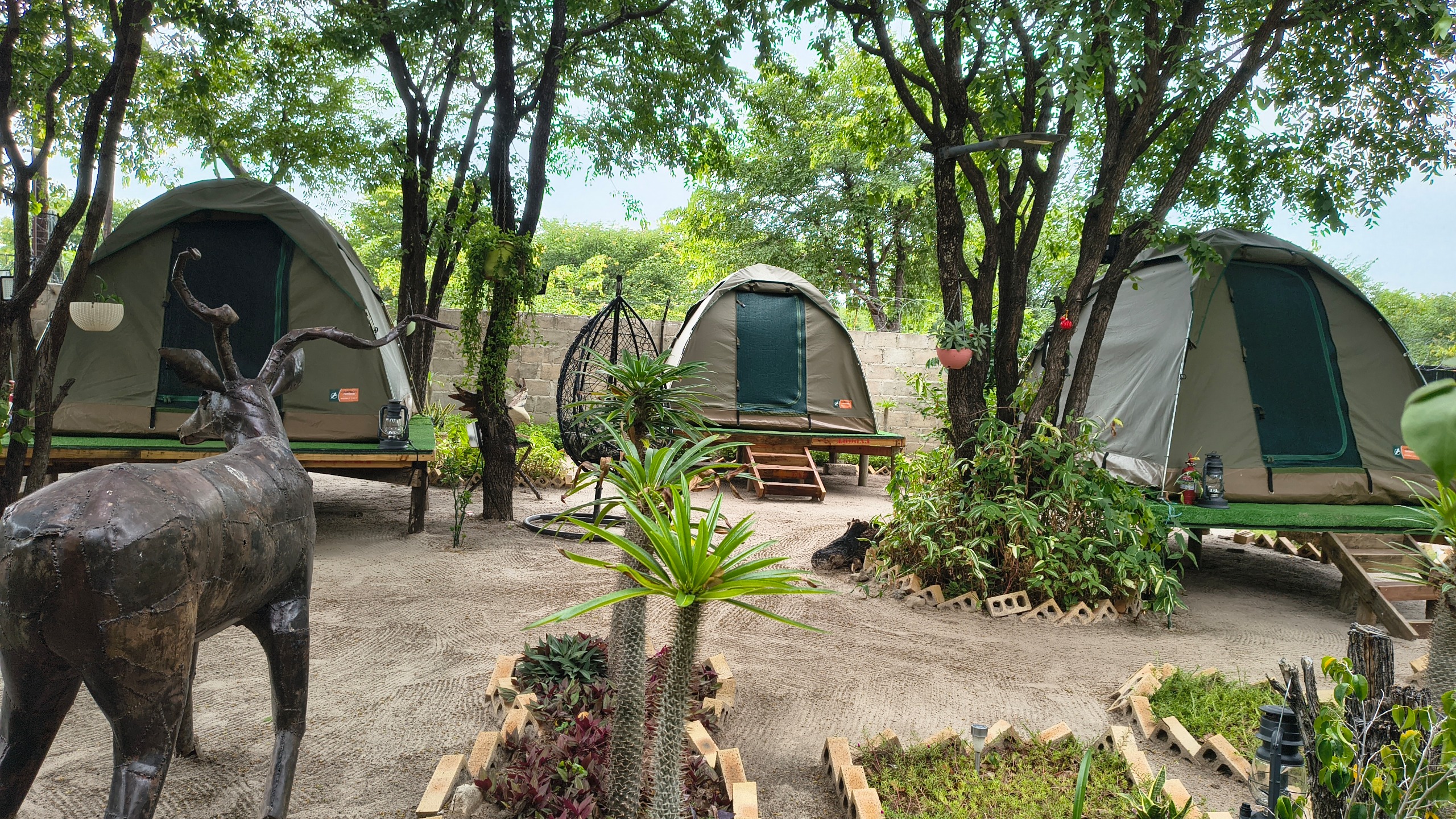 campsite2