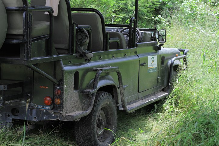 Safari Packages caption (5)