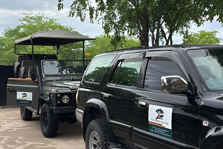 Safari Packages caption (6)