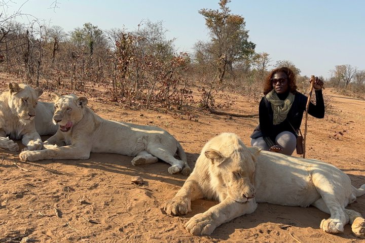 Safari Packages caption (7)
