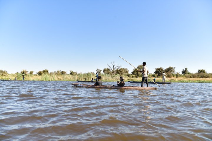 Safari Packages caption