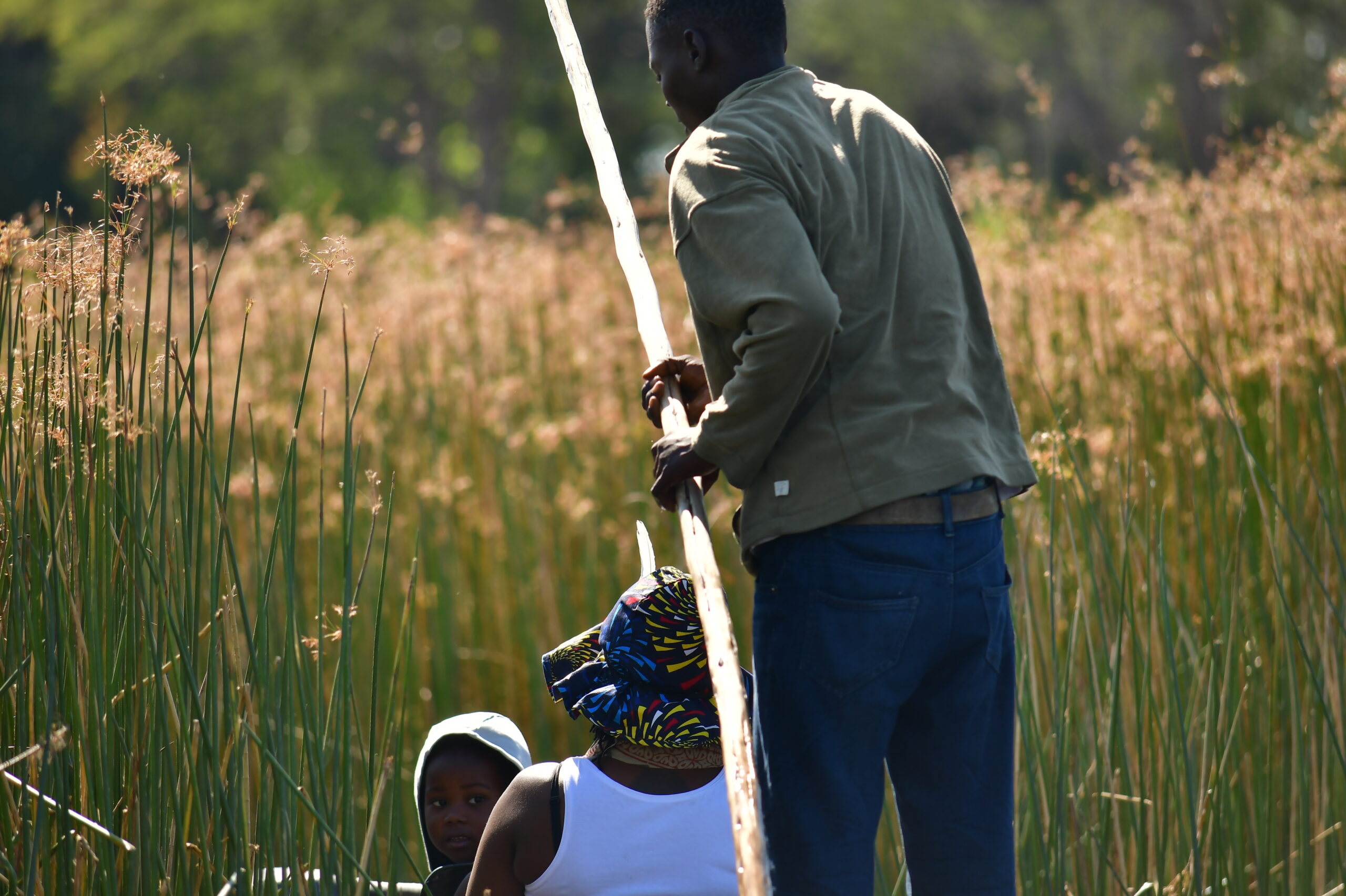 Traditional Mokoro Excursion — Bavarian Safari activity, Maun, Botswana