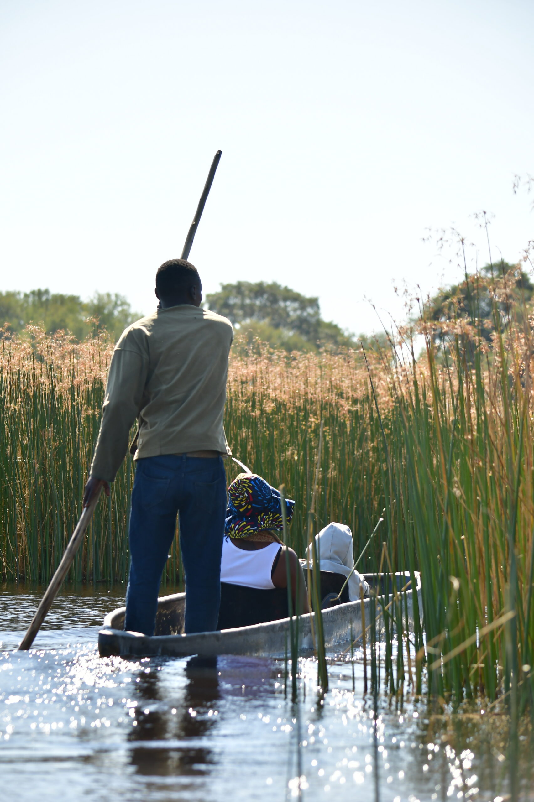 Traditional Mokoro Excursion — Bavarian Safari activity, Maun, Botswana