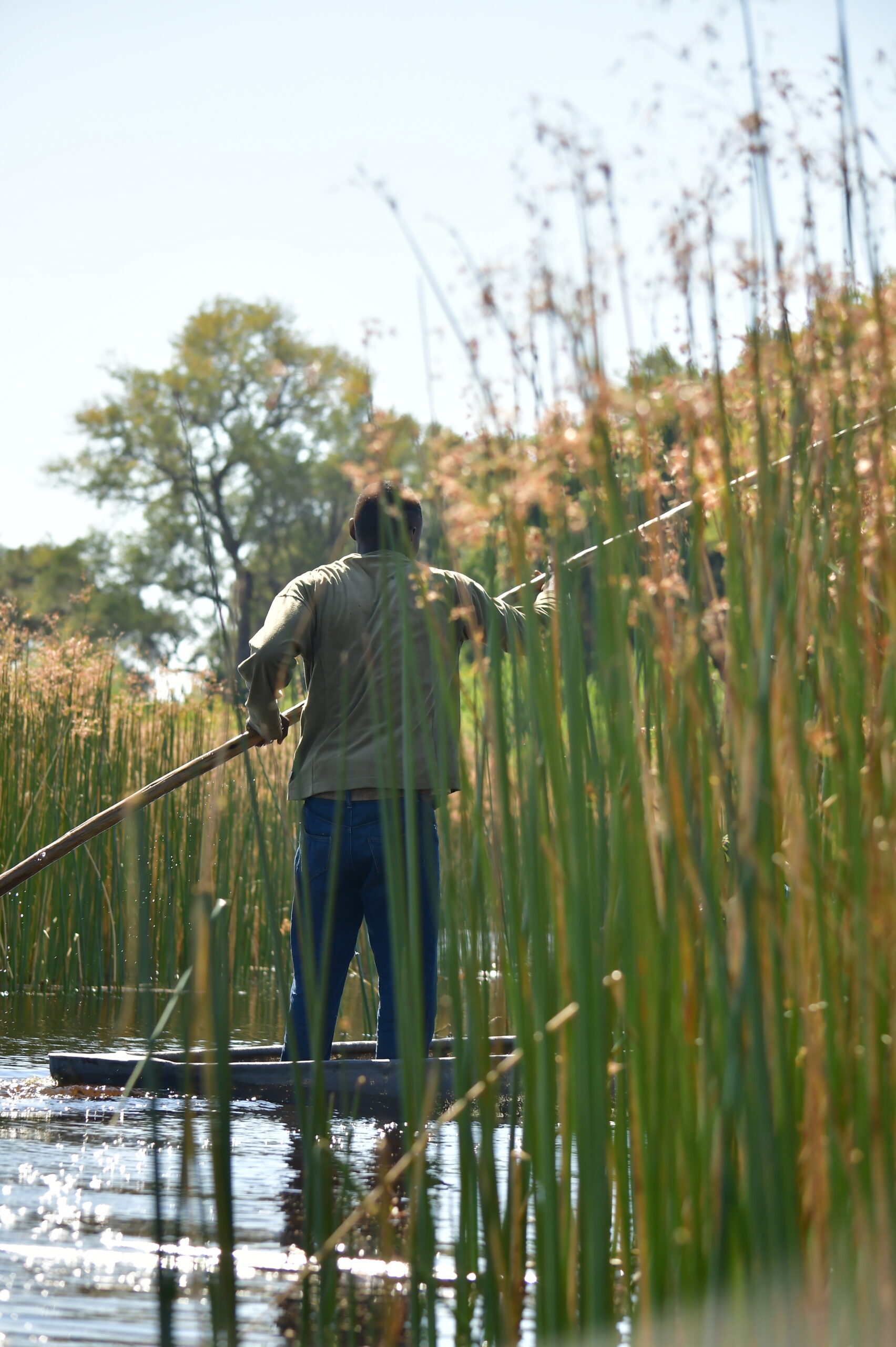 Traditional Mokoro Excursion — Bavarian Safari activity, Maun, Botswana