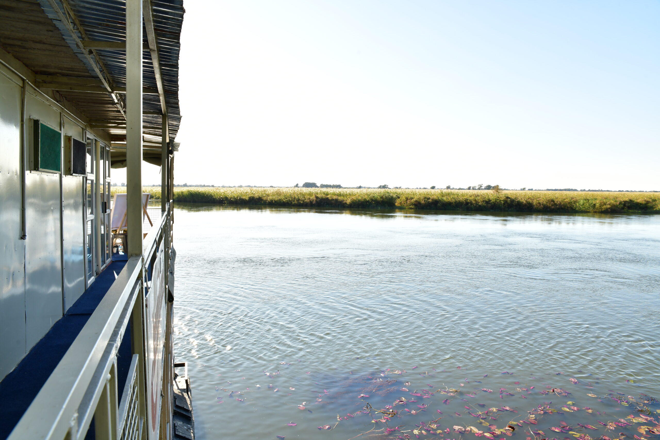 Boat Cruise — Bavarian Safari activity, Maun, Botswana