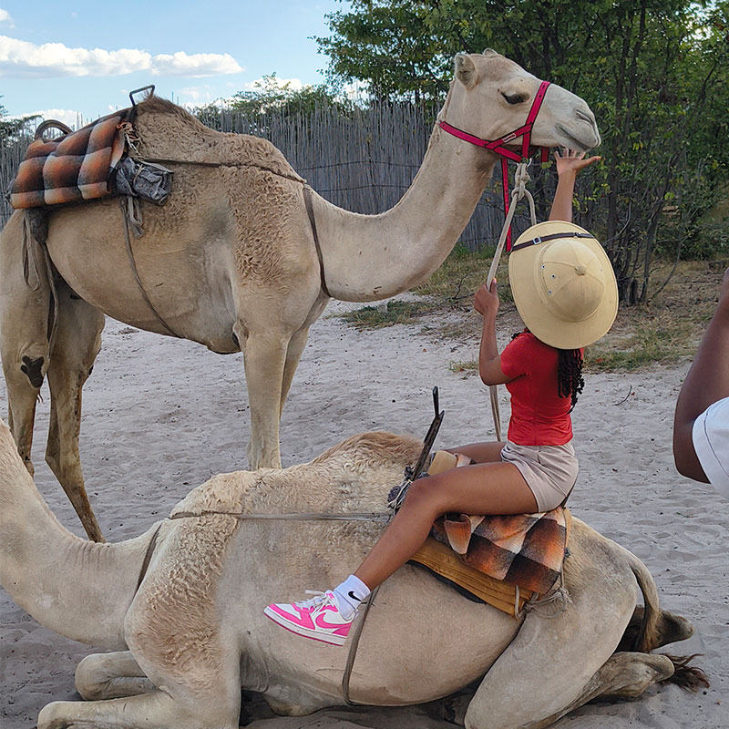 camel 02