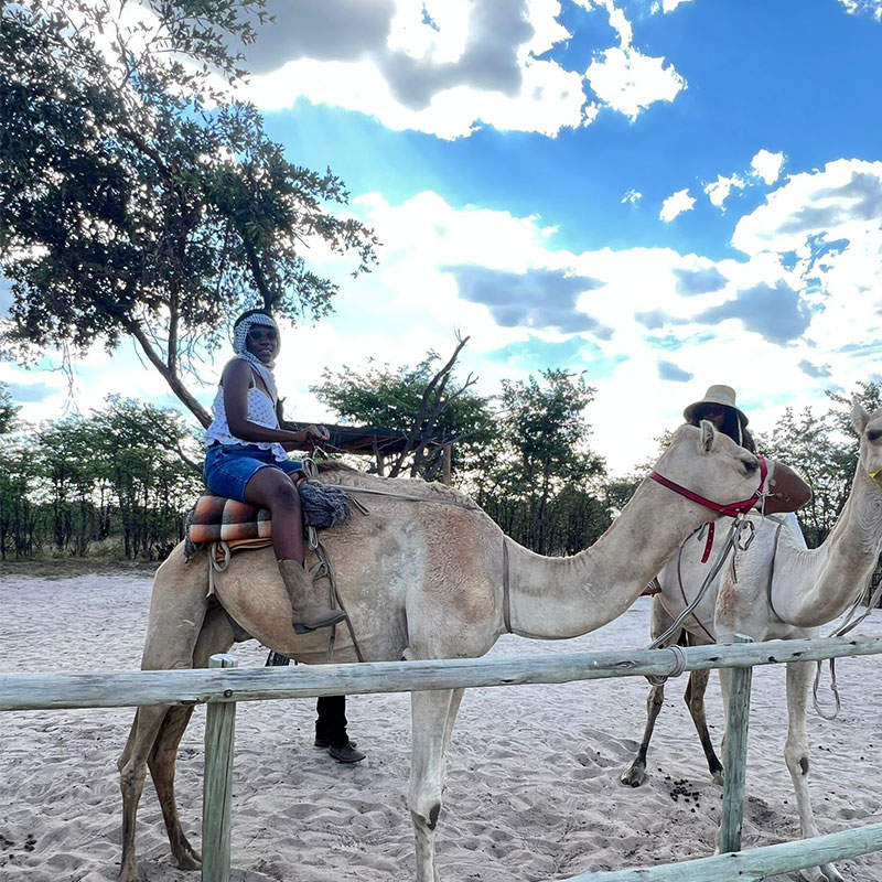 camel 10